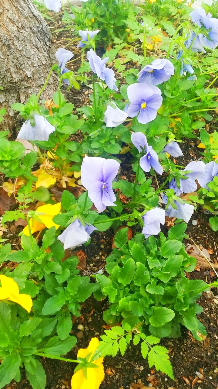 Spring. Spring right around the corner