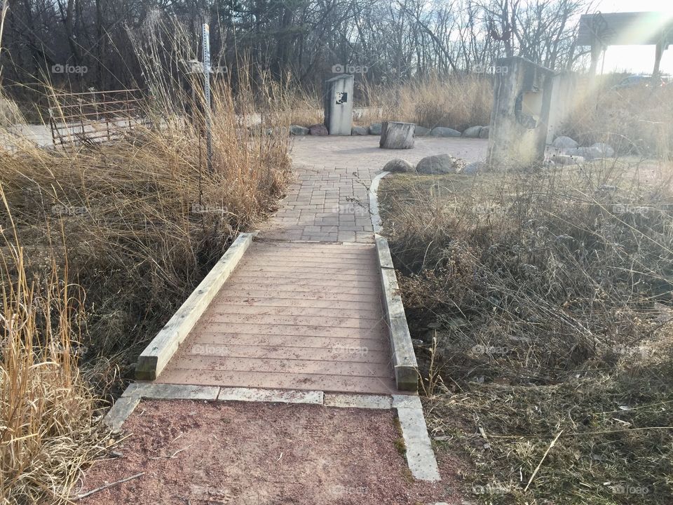 Pathway in park Iowa