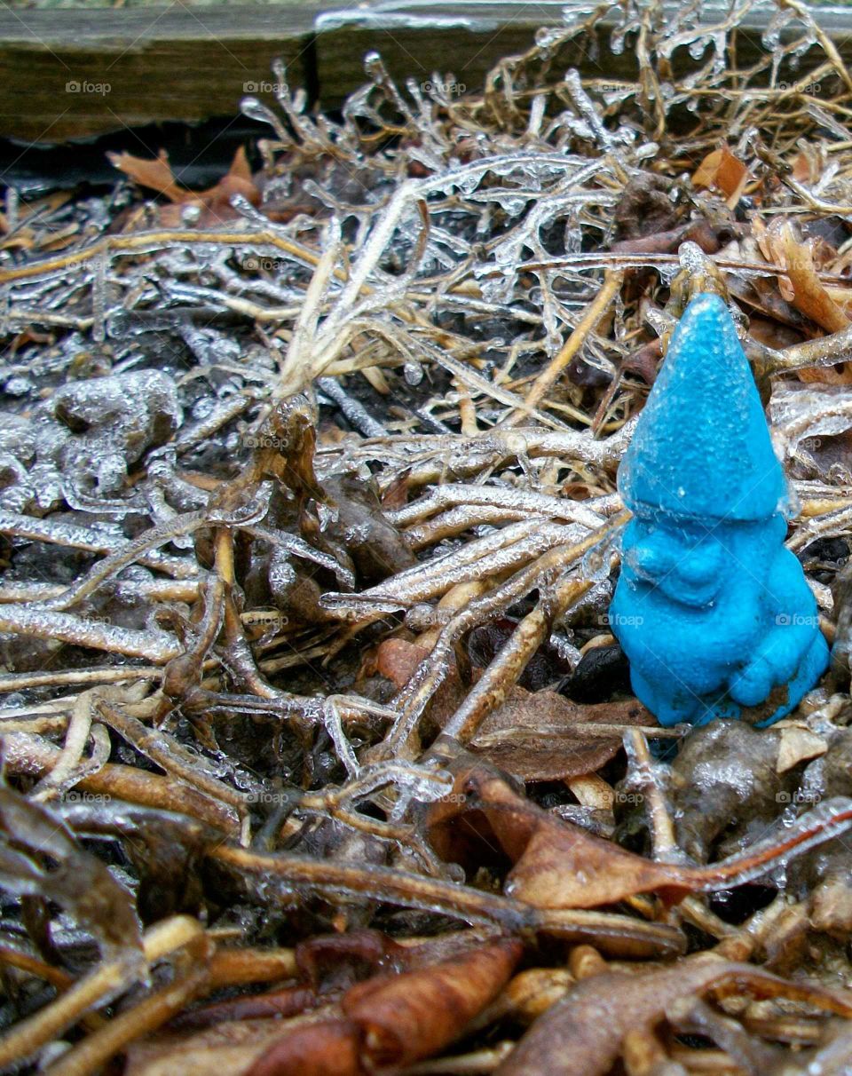 Frosty gnome. Frozen ground and gnome in backyard