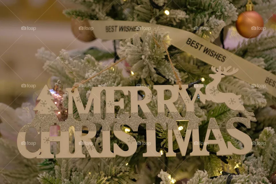 Merry Christmas