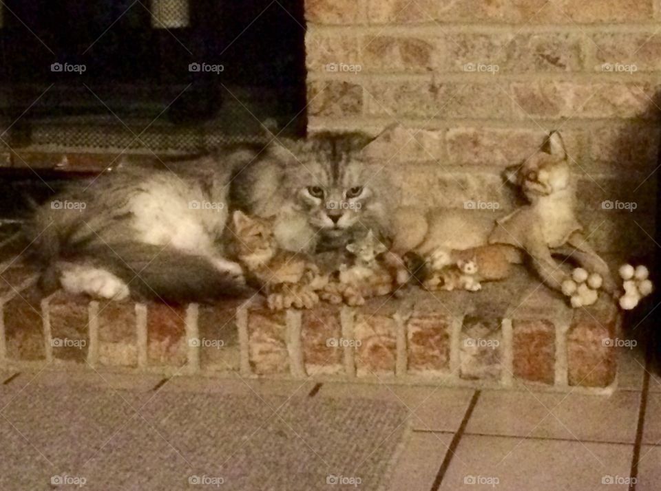 MalloyBoy blending in with the crowd.