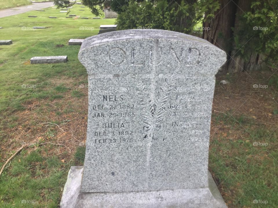 Tombstone in the Cemetery 