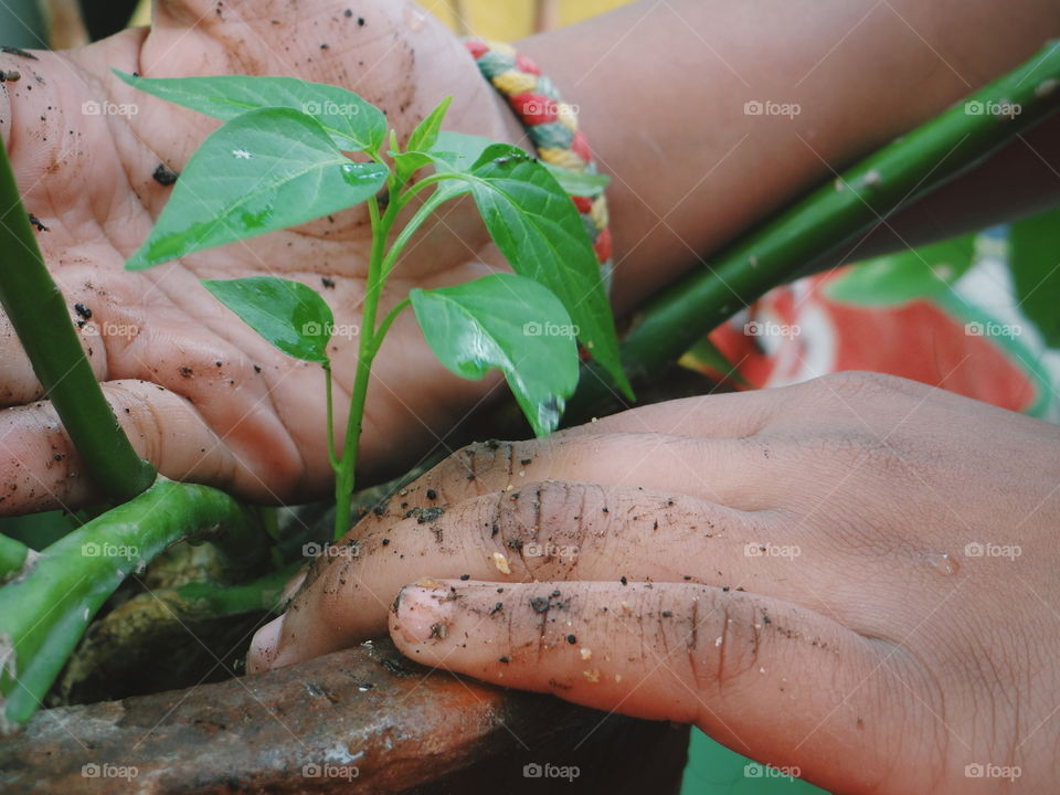 Gardening