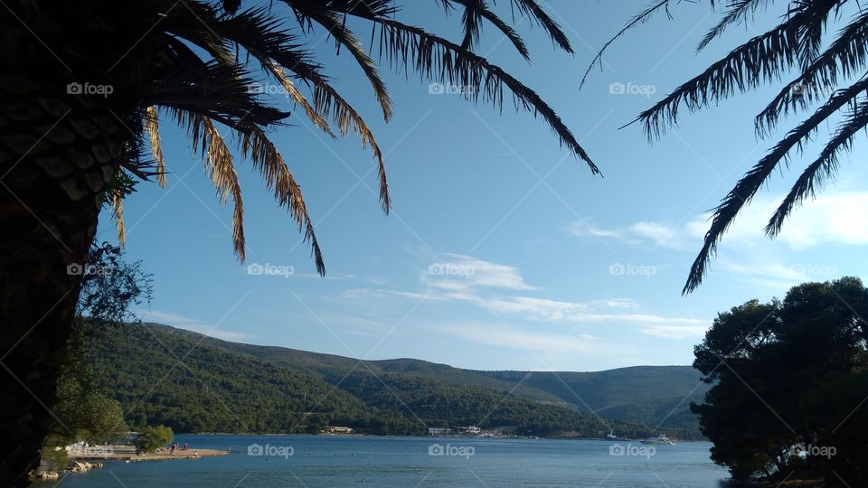 On the Island Hvar Under the Palms