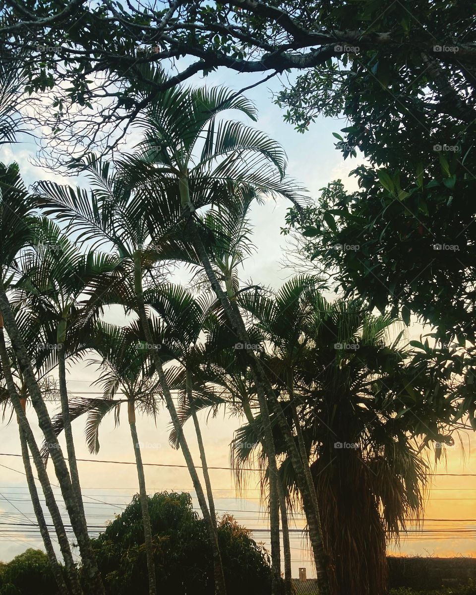 🌄🇺🇸 An extremely beautiful dawn in Jundiaí, interior of Brazil. Cheer the nature! / 🇧🇷 Um amanhecer extremamente bonito em Jundiaí, interior do Brasil. Viva a natureza! 