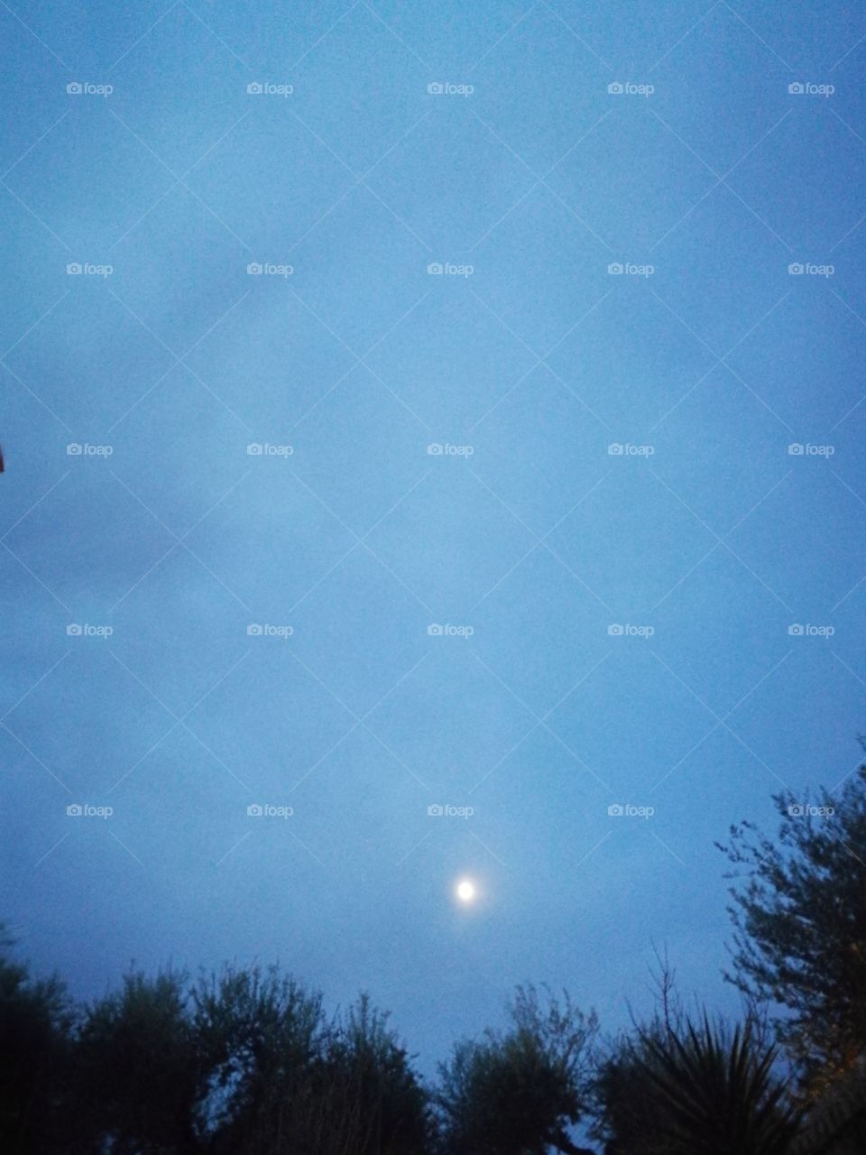 No Person, Sky, Landscape, Nature, Outdoors