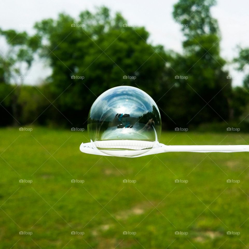 Close-up of bubble on a wand in a field