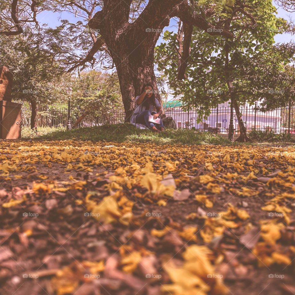 And all at once, summer collapsed into fall. 