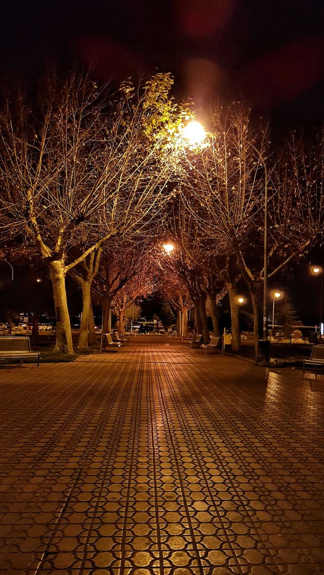 night