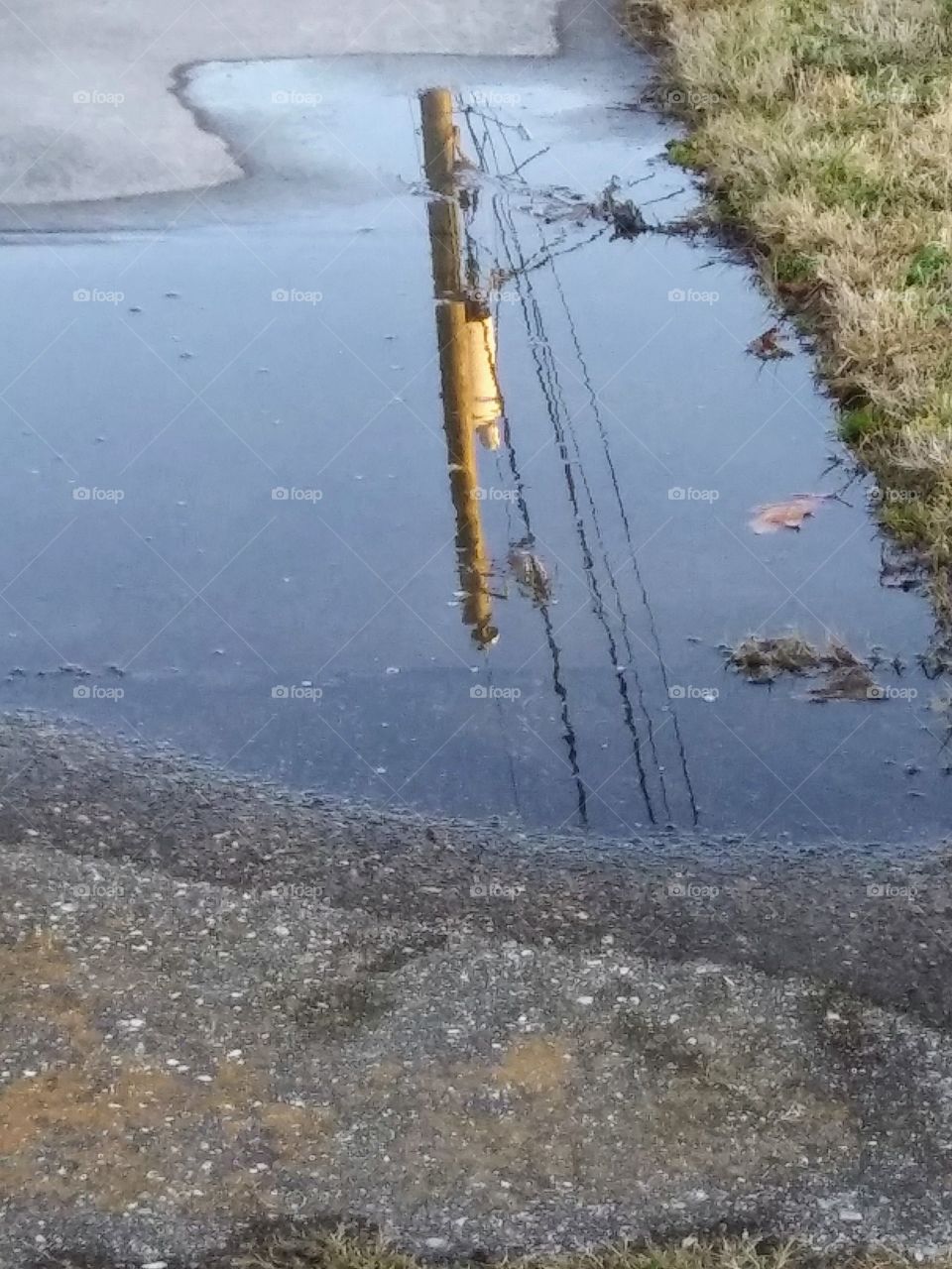 power pole reflected in a puddle