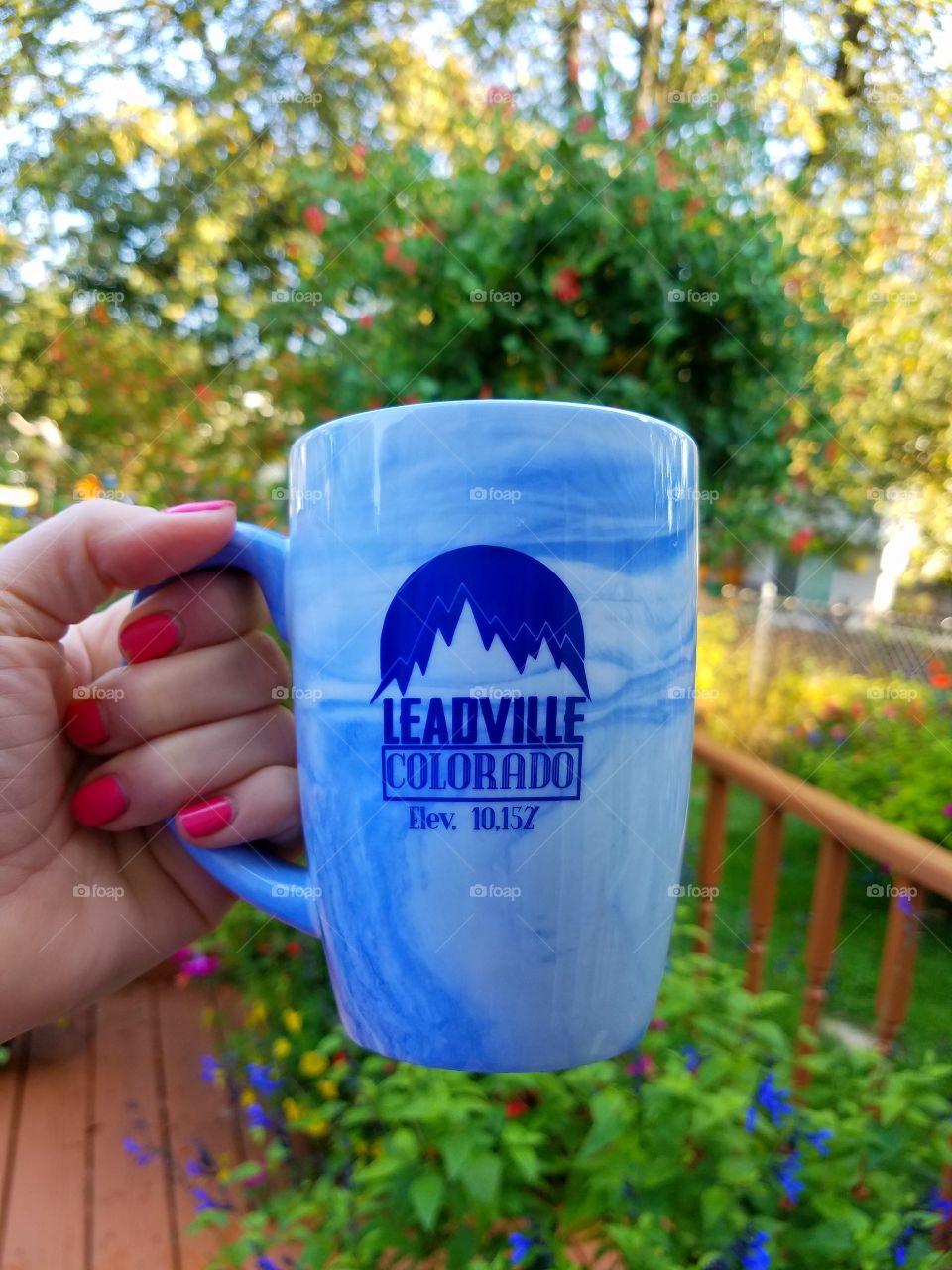 Souvenir  Leadville Mug Coffee Cup