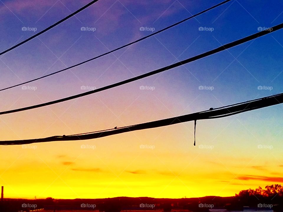 sunset on a wire