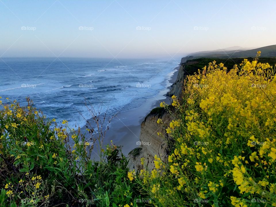 Davenport coastline