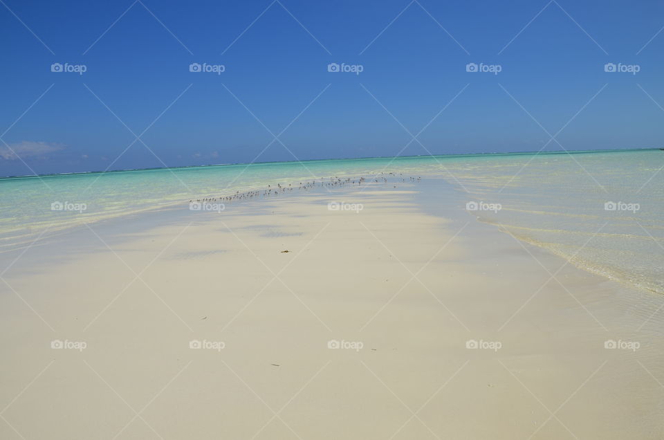 Crystal clear waters of Zanzibar