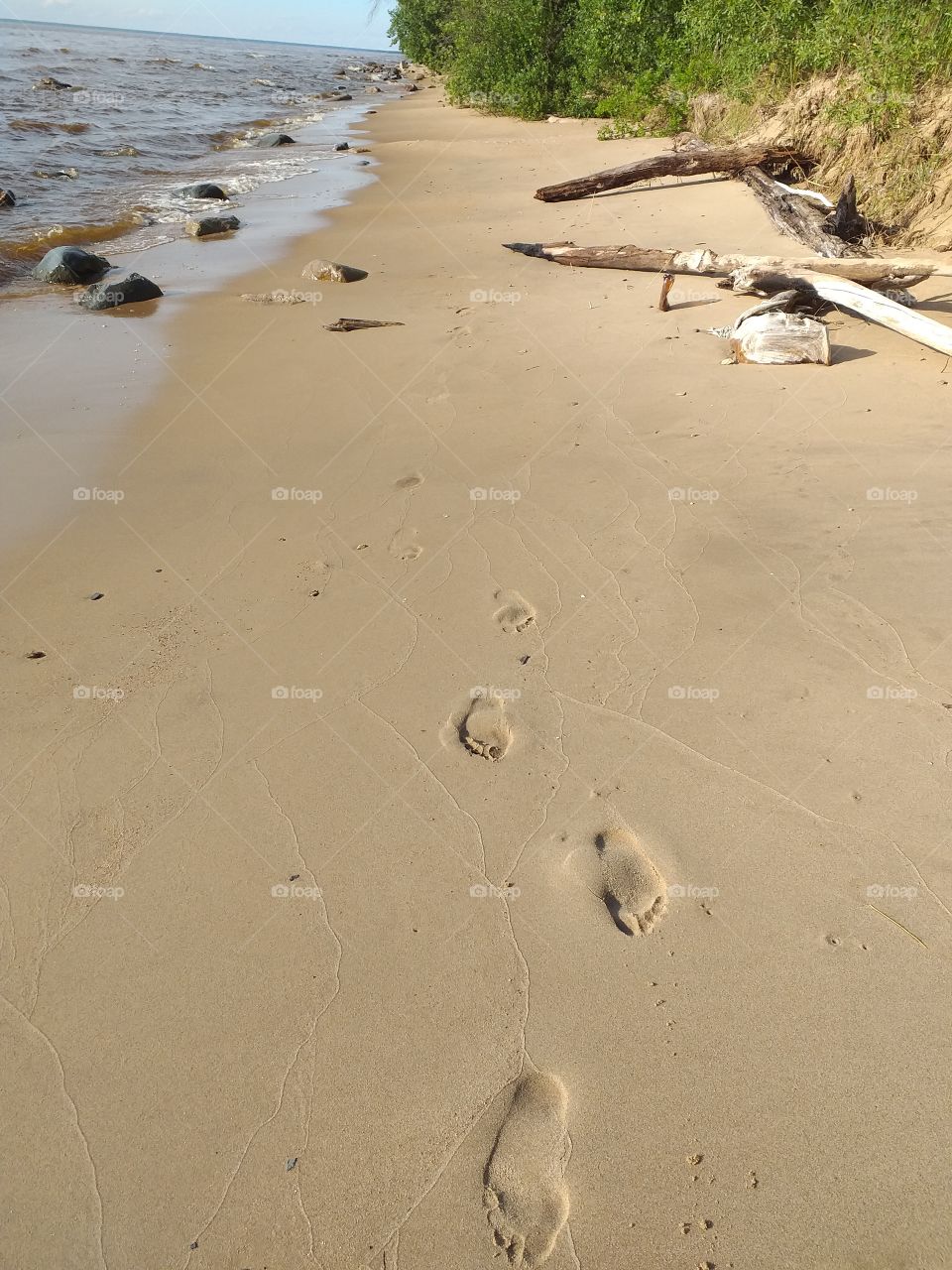 следы в лето