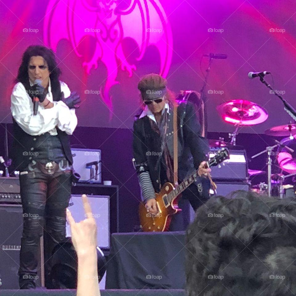 Hollywood Vampires