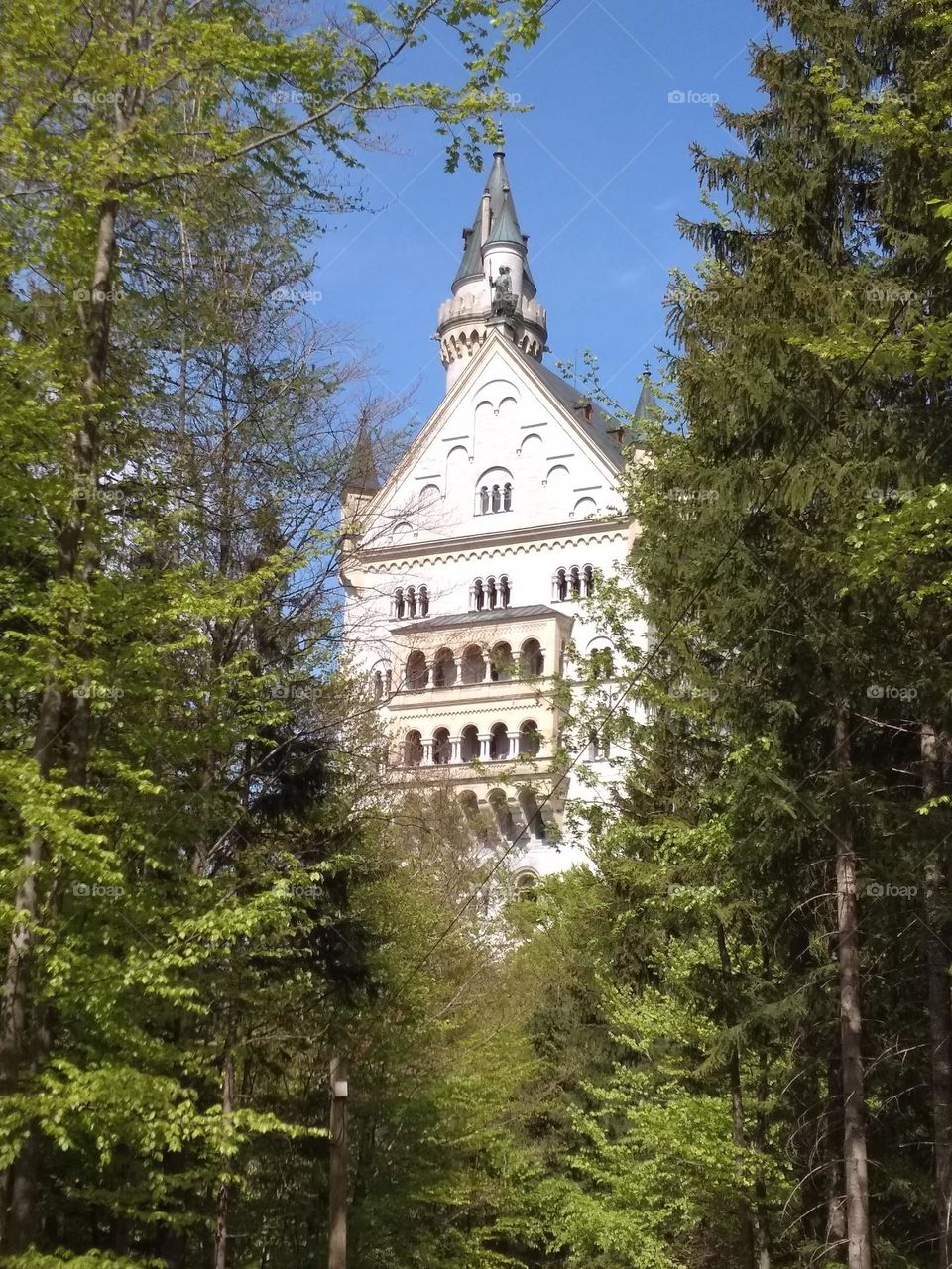 Cinderella castle in Germany - Neuschwanstein