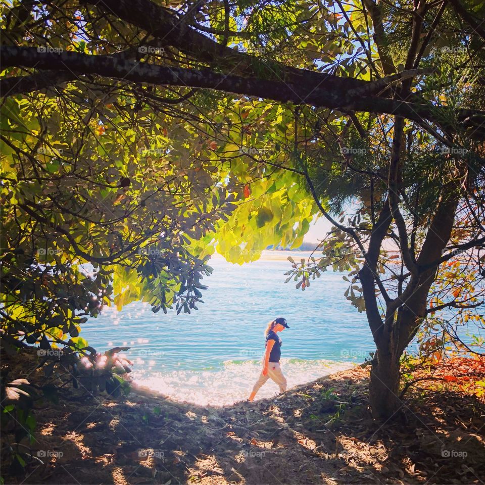 The beach walker through the trees