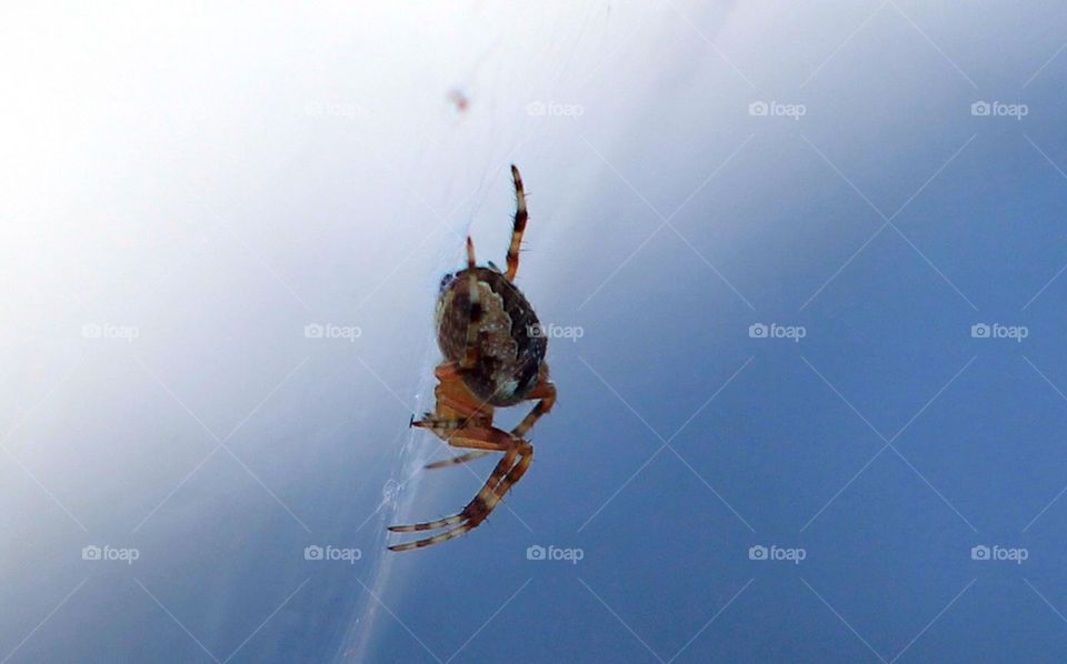 Up close and personal 