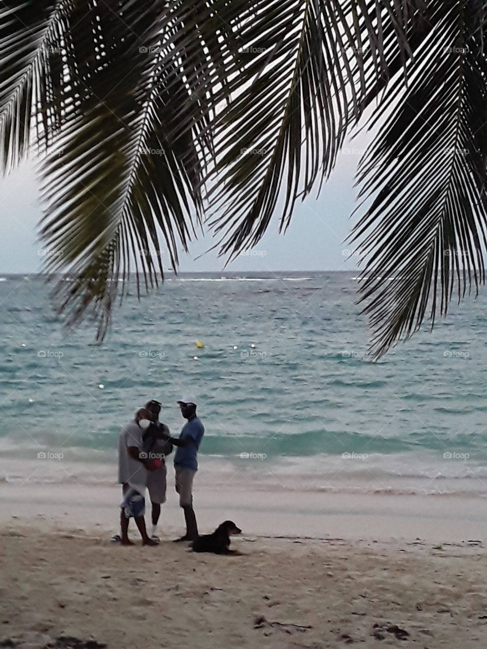 people by the ocean next to them dog