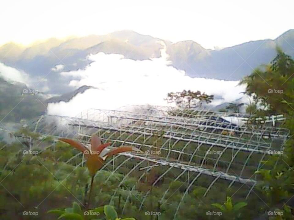 Clouds fill up the whole mountain top