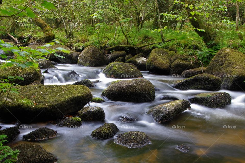 River Bovey