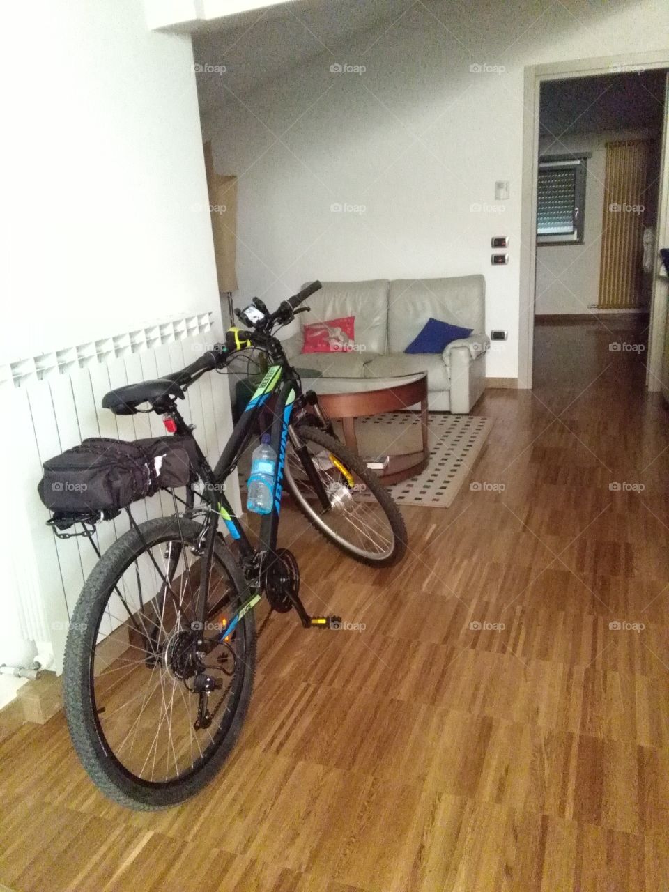 Electric bicycle in the living room