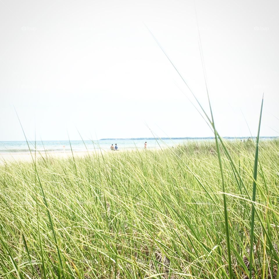 Grassy Plains Beach 