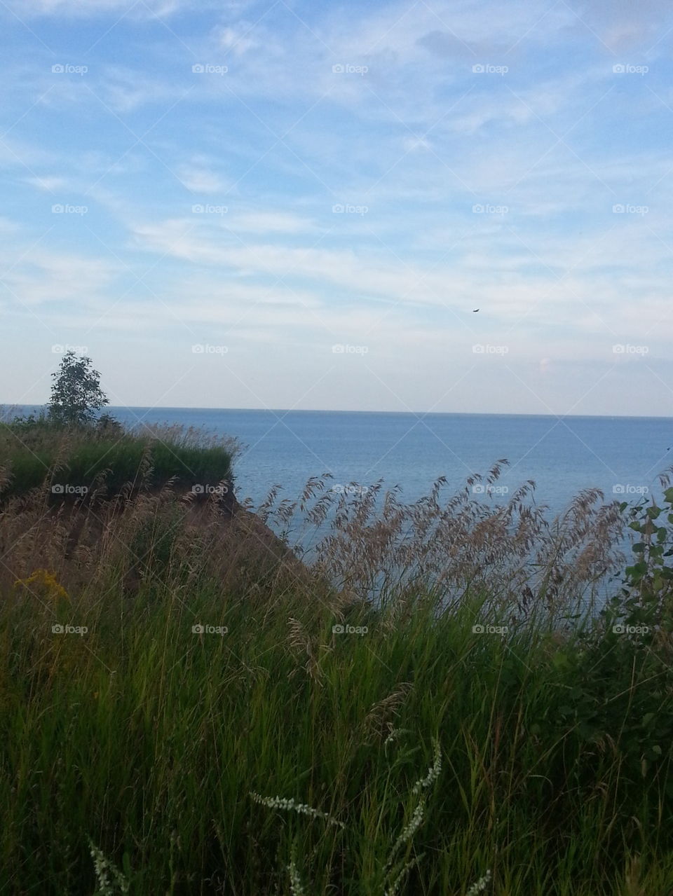 lake Michigan