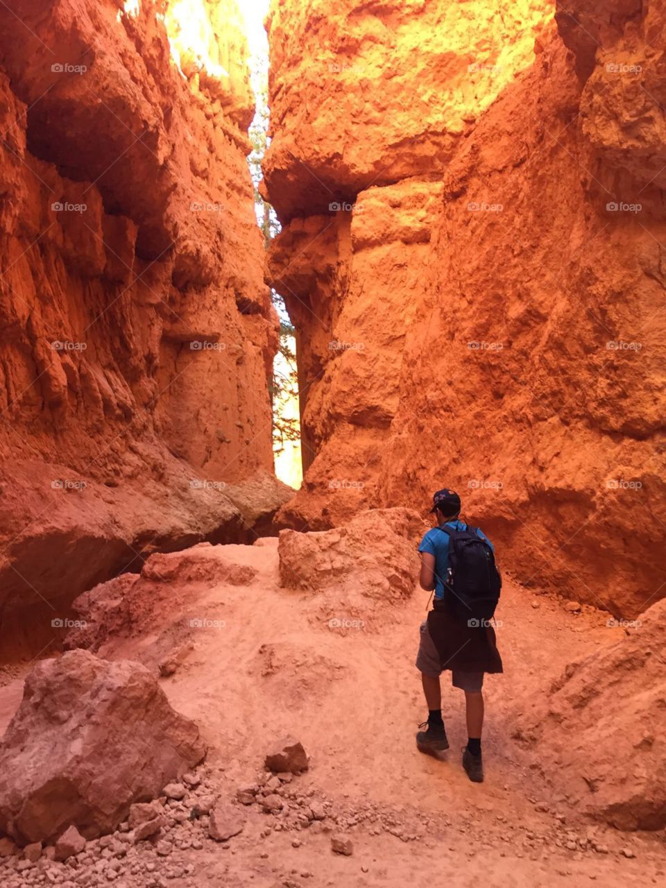 bryce hiking