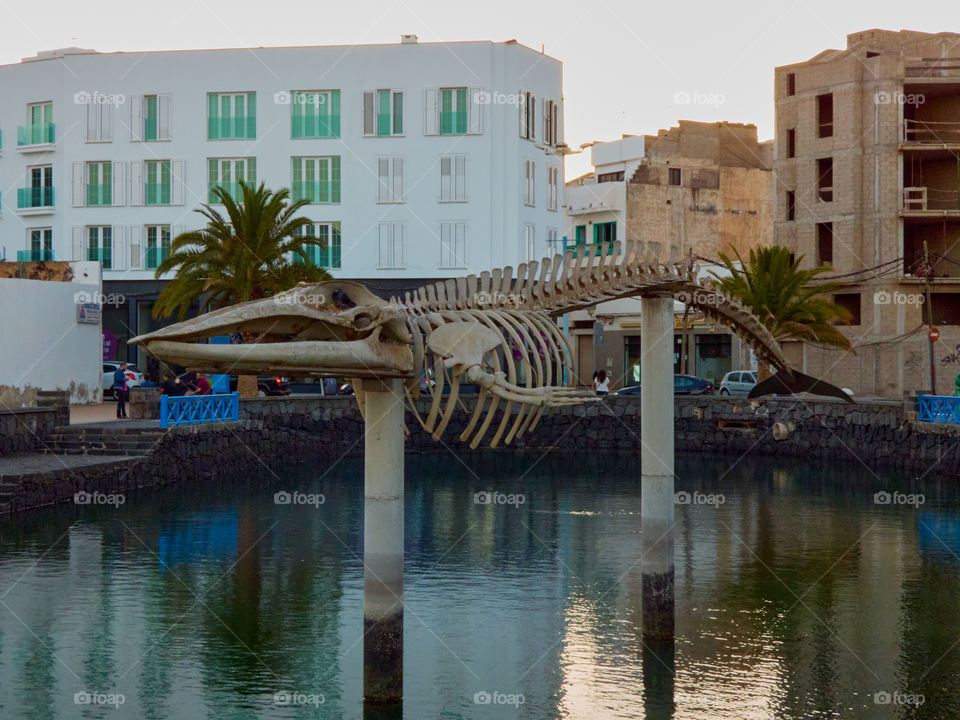 Esqueleto de dinosaurio de bastante tamaño posado en dos pilares arriba de el mar