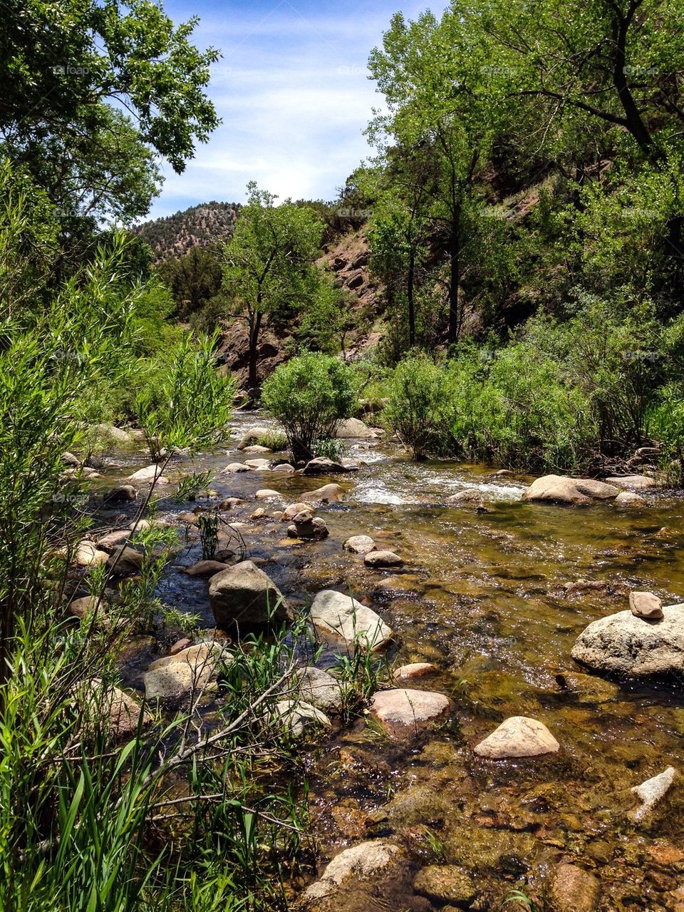 Stream along Colo Hwy 141 
