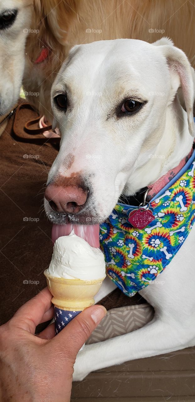 who doesn't like ice cream!