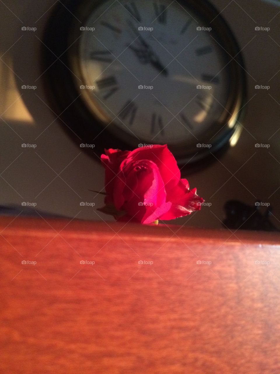 Rose in front of a giant clock. 