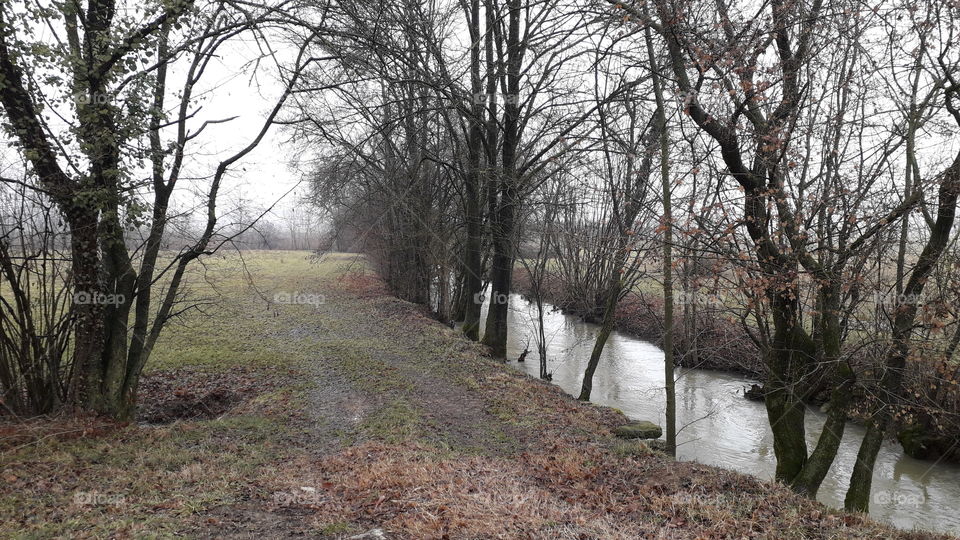 winter grey day in the country