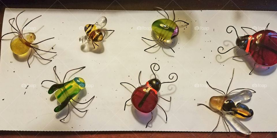 Glass Bugs