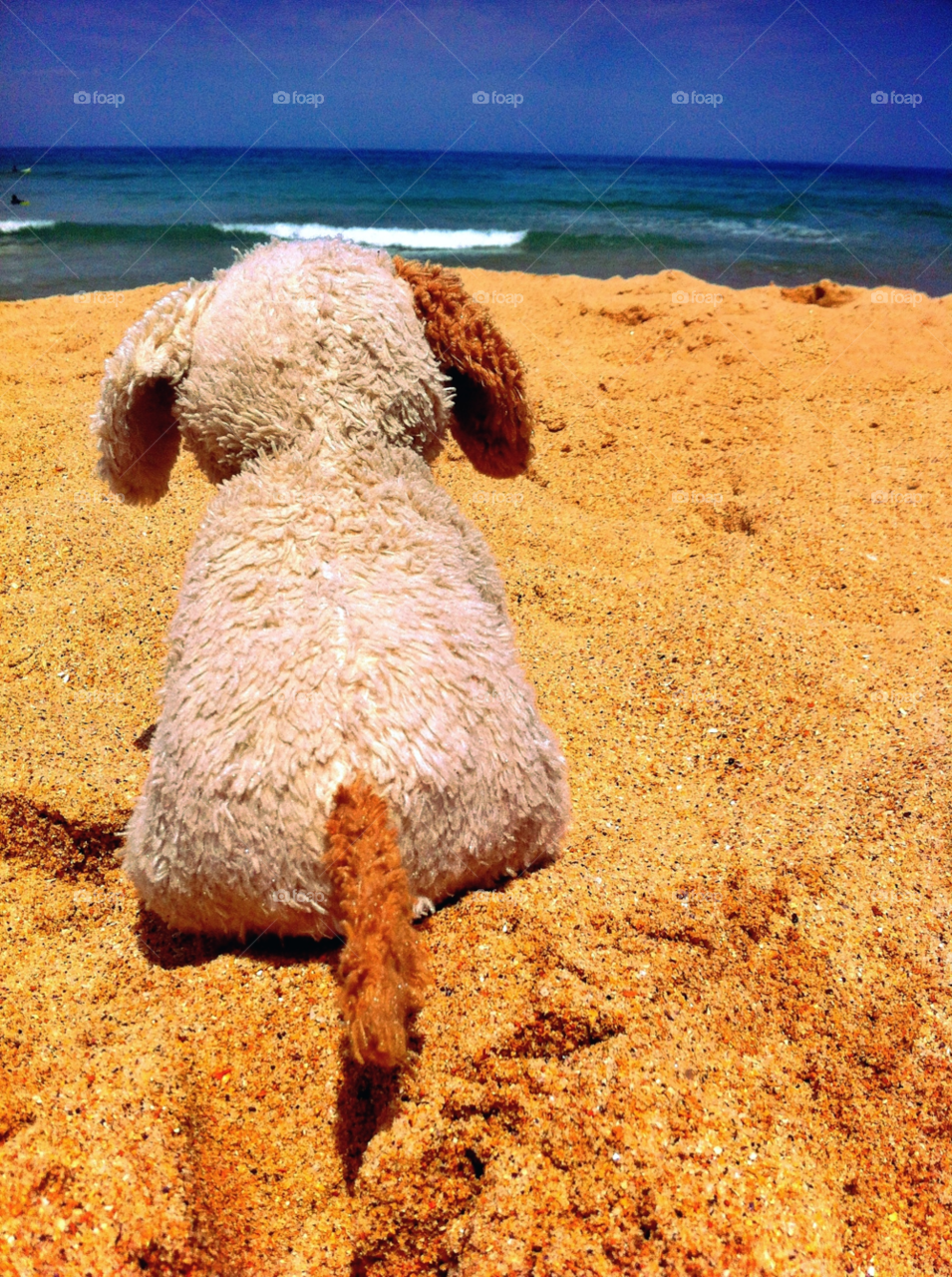 beach summer sand puppy by fairybelle