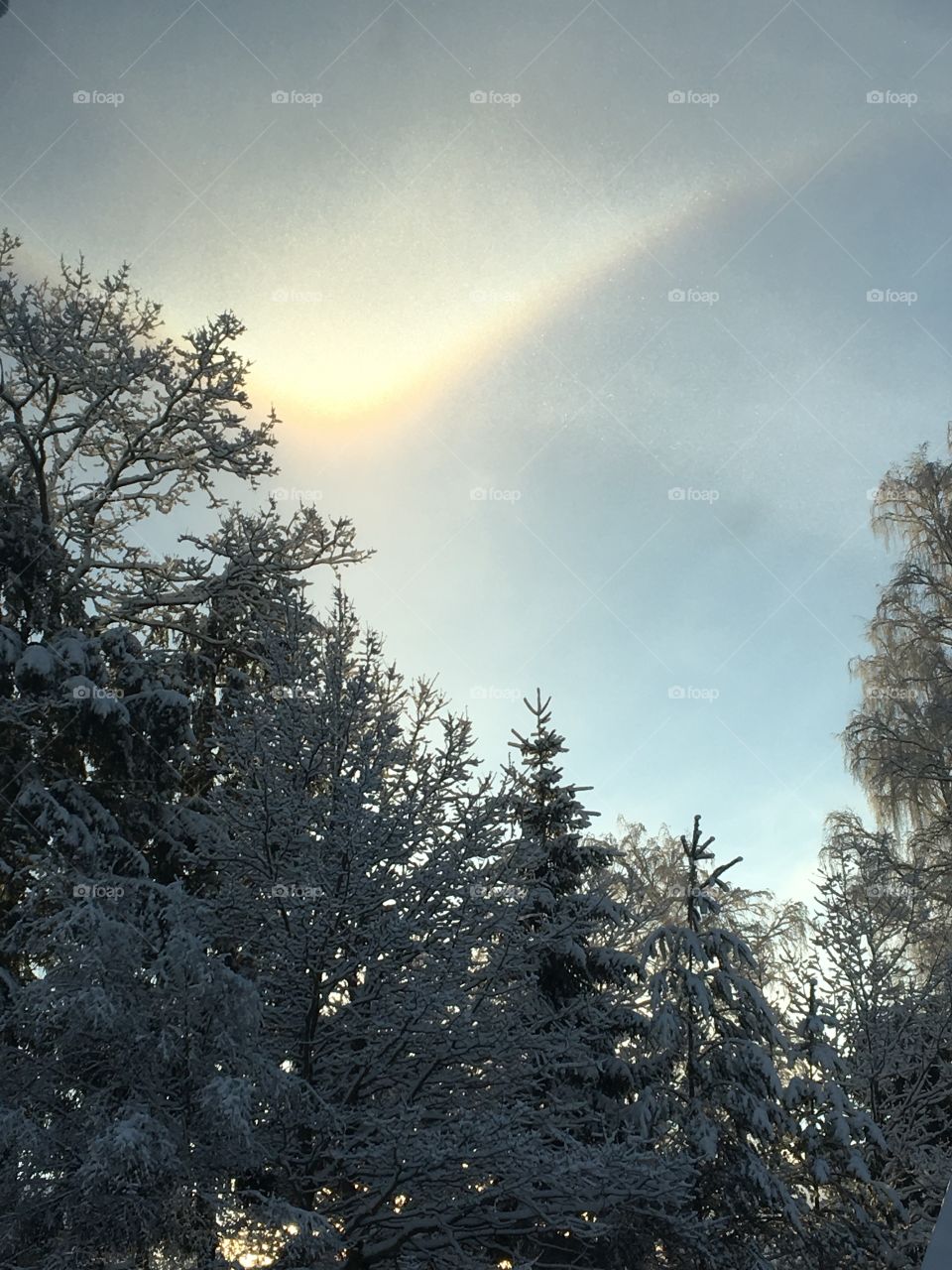Rainbow in snow
