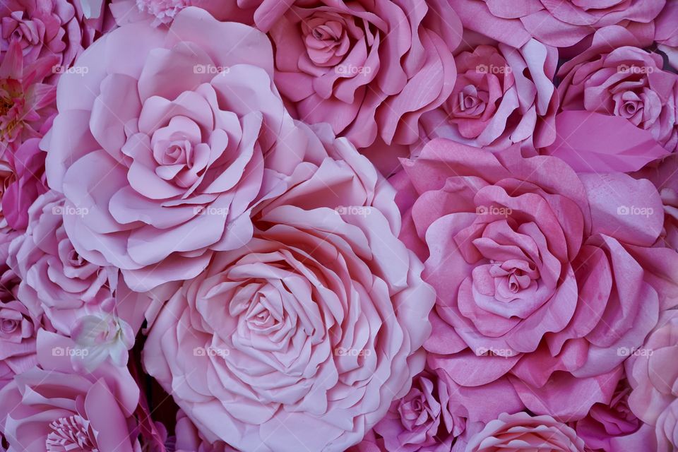 Wall of flowers. Pink Paper flowers. 