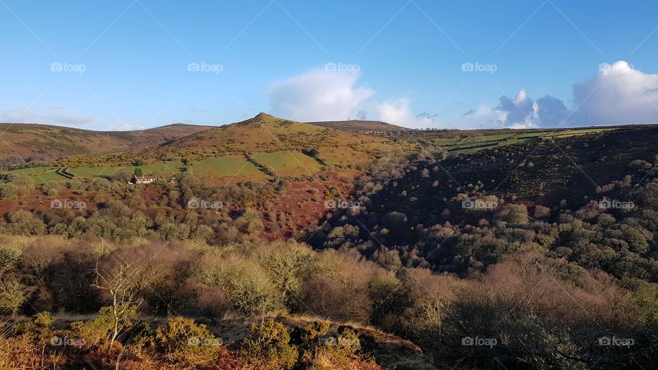 Dart Valley, Dartmoor