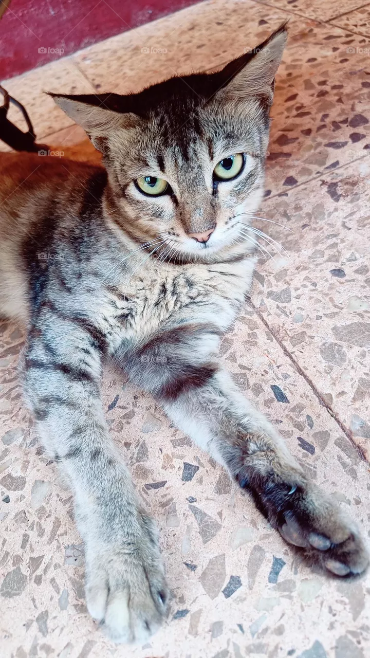 A visitor