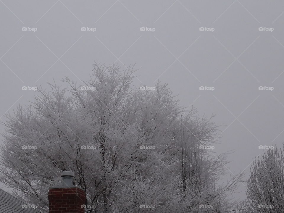 Jack frost nipping at the nose 👃 👅