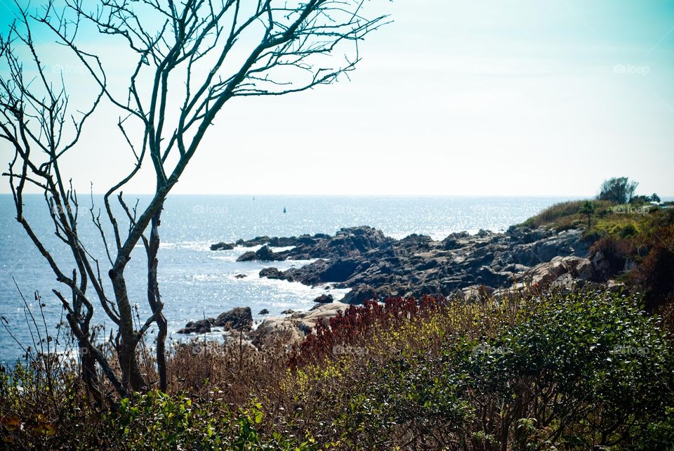 Rocky Ocean Shoreline at Kennebunkport Maine