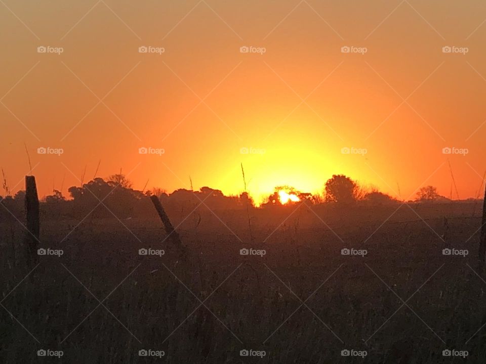 Sol  Atardecer reflejos campo amarillo