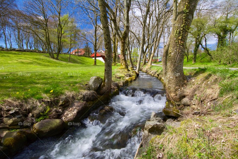 A running little stream in spring 