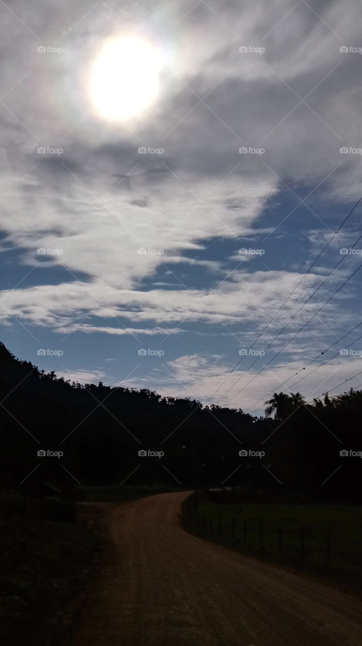 PEREHLYAD, DREVO, PRYRODA.