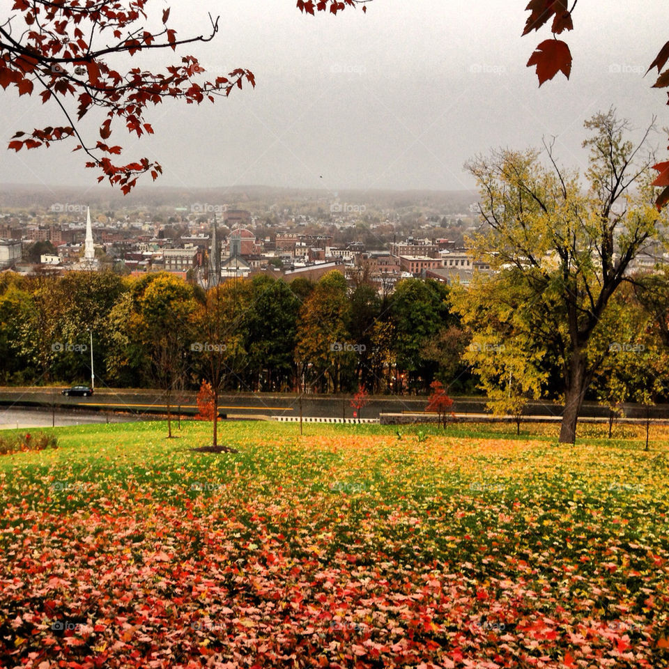Overlooking a city in the rain