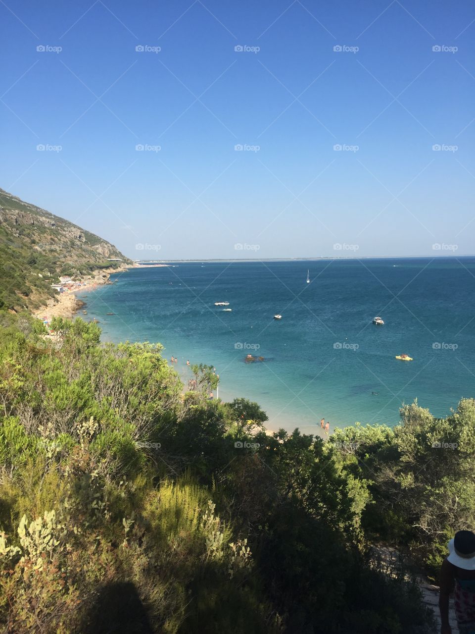 Scenic view of nature