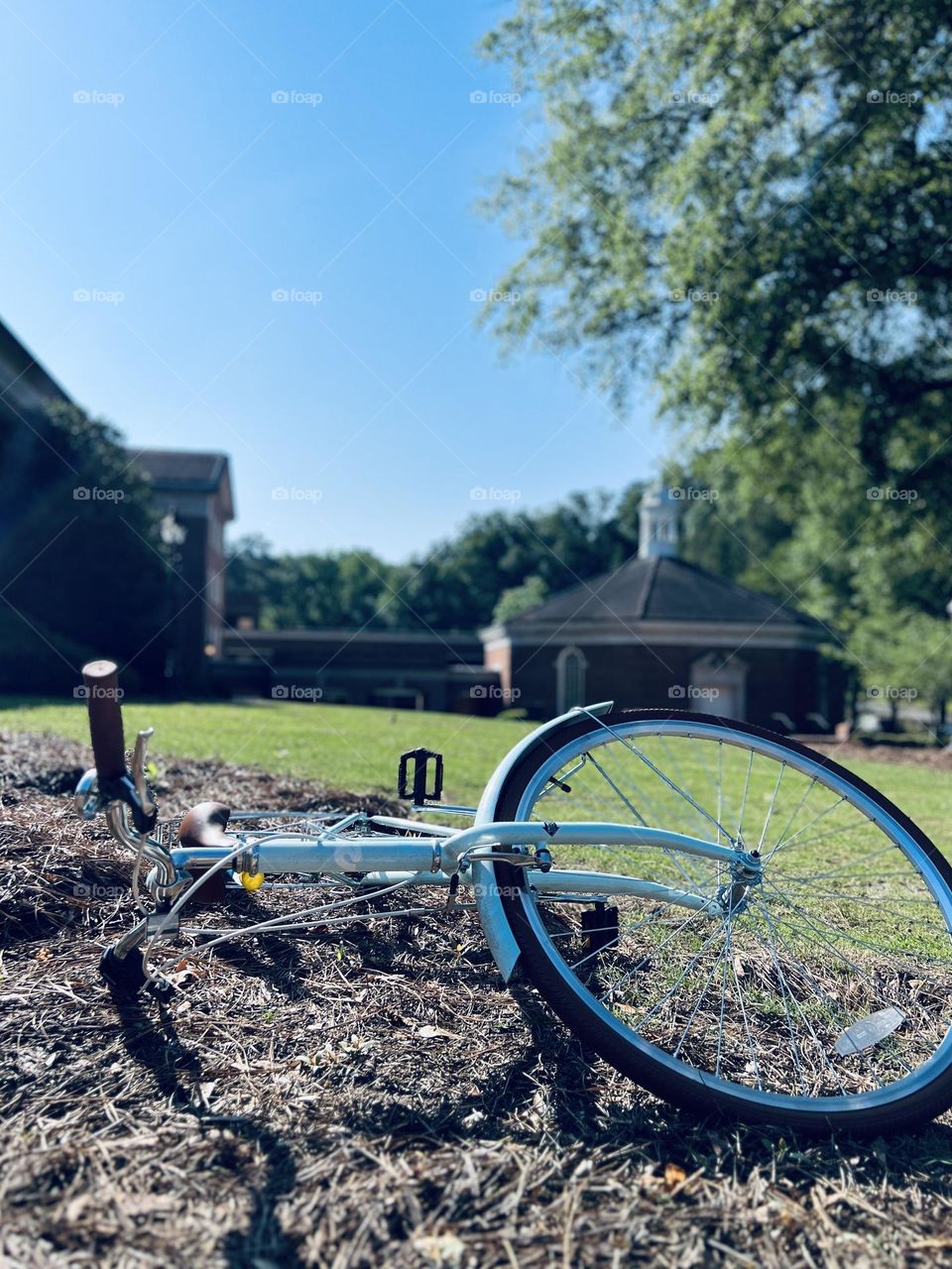 A blue cruiser style bicycle lying on its side in the foreground, with a grassy lawn, tree and brick church building in the background.