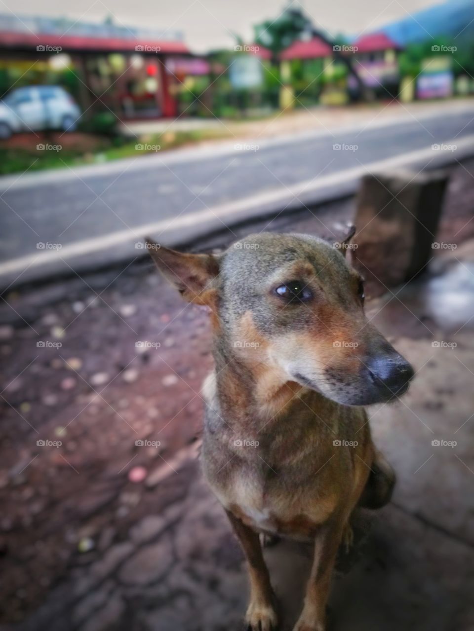 waiting for a food..